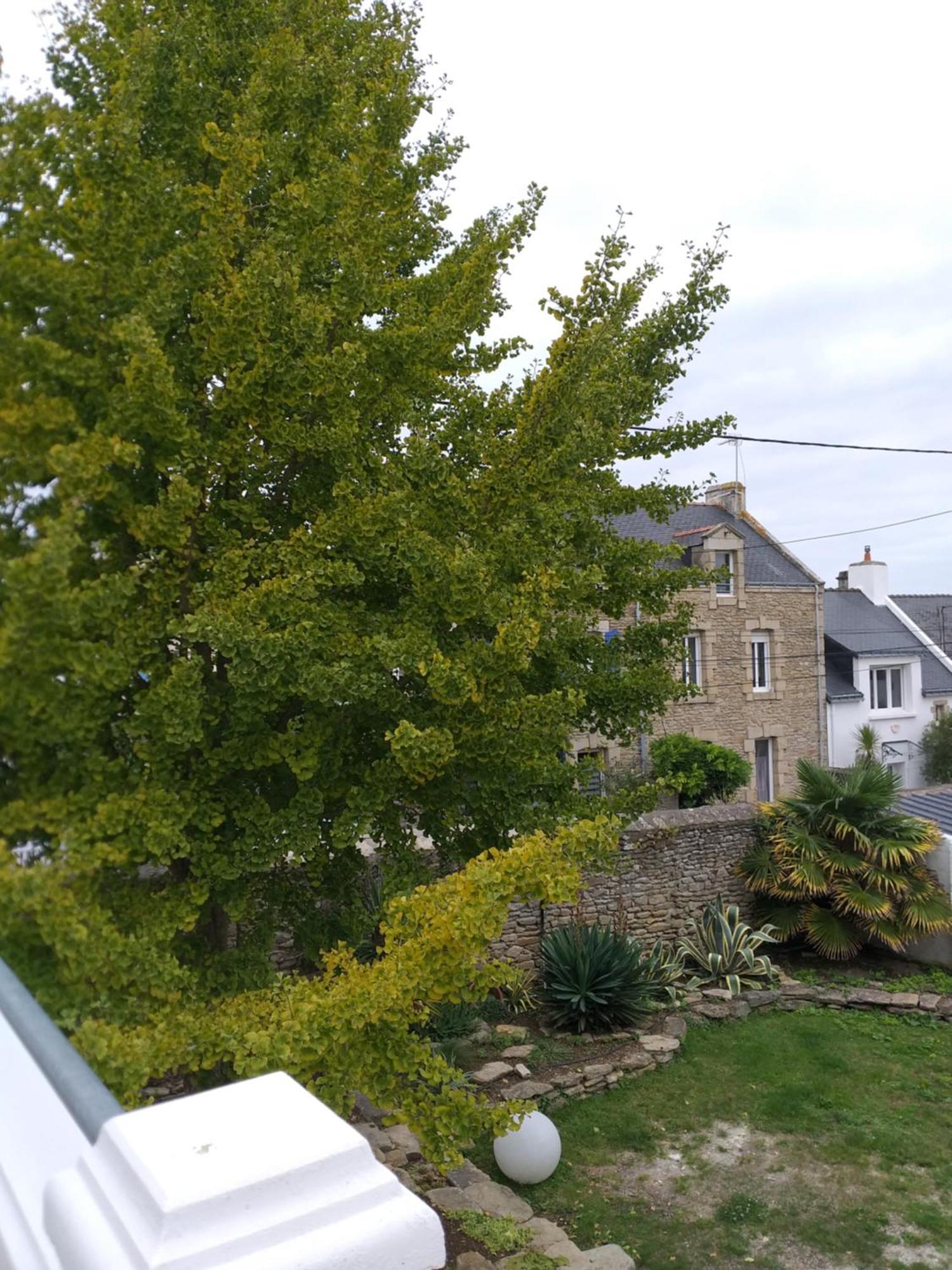 Manoir St Yves -Gite Quiberon Exterior foto